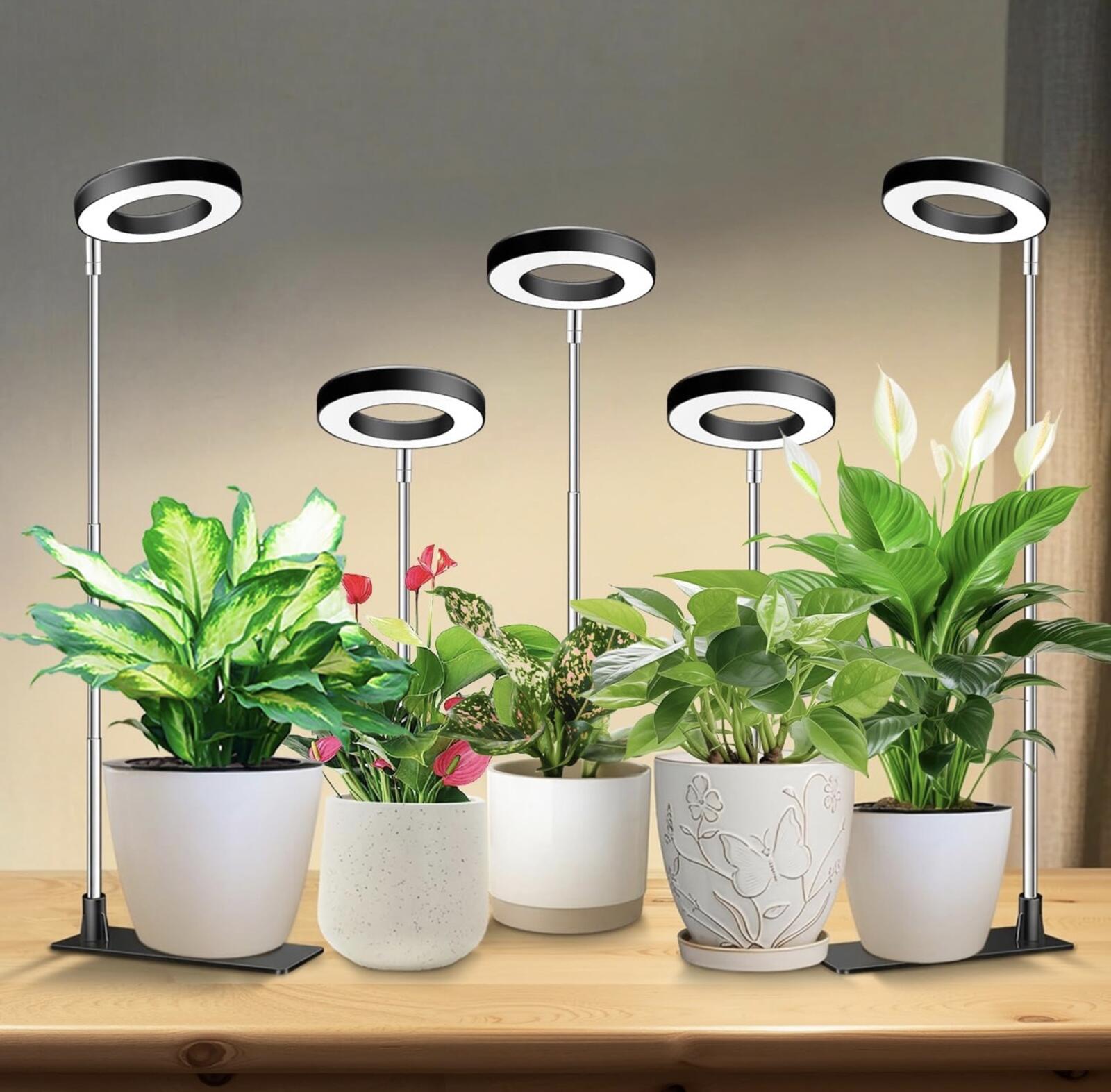 One Indoor Plant Grow Light Halo LED Adjustable Timer 10 Brightness Levels