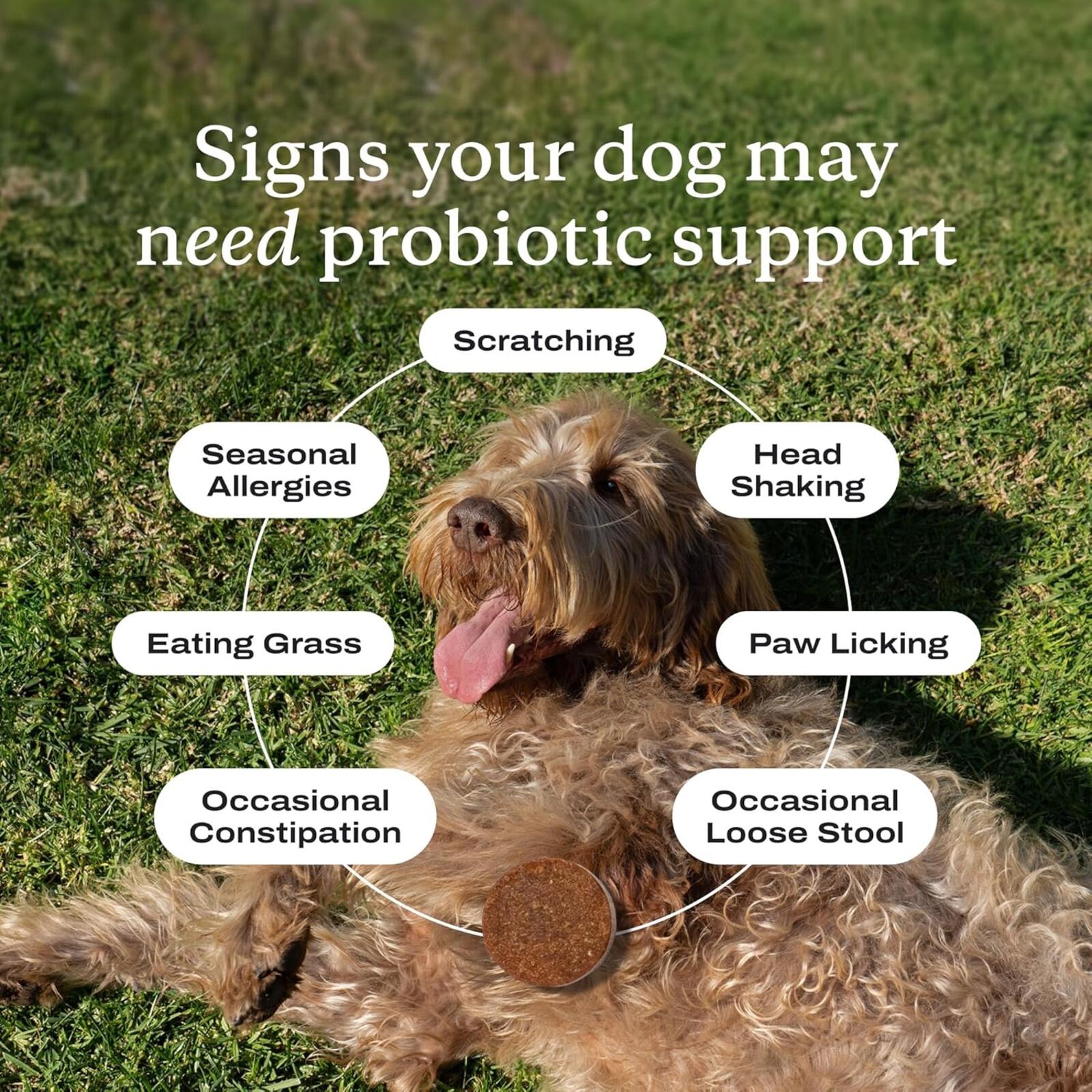 PetLab Co. Dog Probiotics | Gut & Digestive Support | 30 Chews | Exp 7/2026