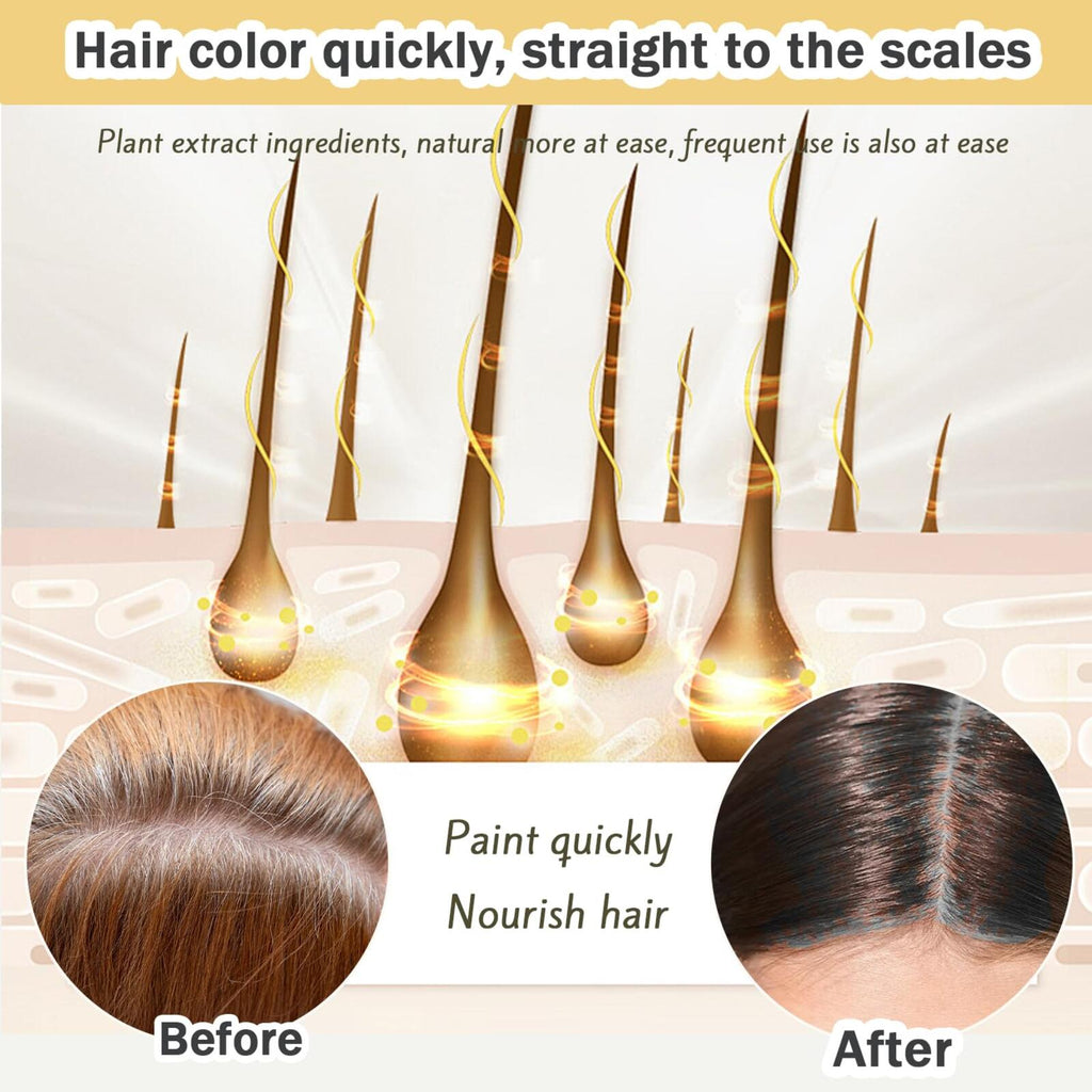 Nova Hair Dye Shampoo 3-in-1 Gray Coverage Men & Women Black