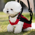 Small white dog wearing red and white pet carrier backpack
